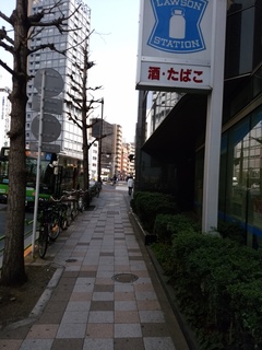 1 新大橋.jpg