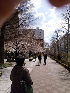1 新大橋.jpg