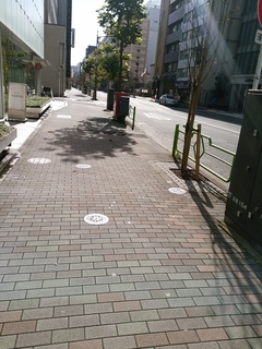12 平成通り.jpg