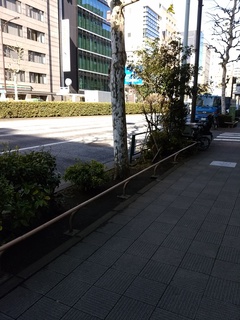 13 新大橋通り.jpg