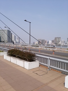 13 街灯横スカイツリー.jpg