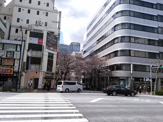 14 新大橋から.jpg