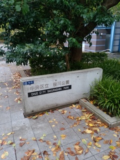 14 桜川公園.jpg