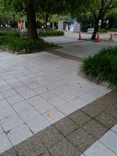 15 桜川公園.jpg