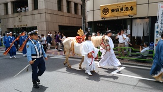 17 白馬.jpg