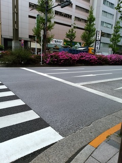 2 中央分離帯.jpg