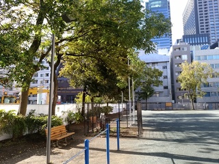 22 木々.jpg