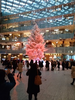 24 クリスマスツリー.jpg