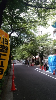 2 さくら通り.jpg