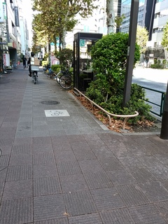 2 新大橋通り.jpg