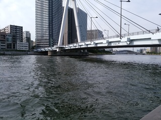 37 橋遠景.jpg
