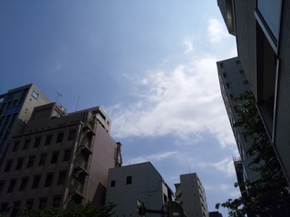 3 さくら通り付近.jpg
