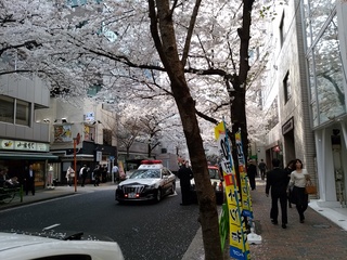 3 パトカー.jpg