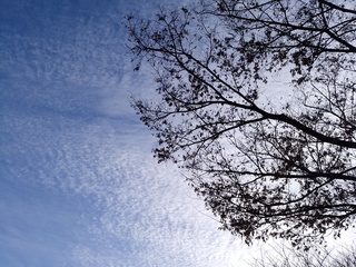 3 年末の空.jpg