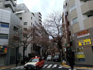 3 朝.jpg