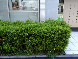 4 入り口前.jpg