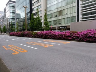 4 対岸.jpg