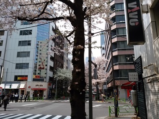 4 平成通り.jpg