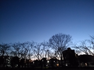 4 新年夕暮れ.jpg