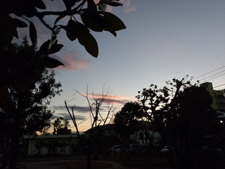 5 夕暮れ.jpg