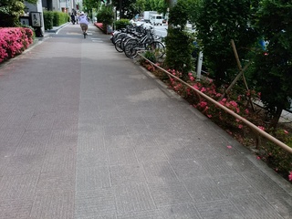 5 進む.jpg