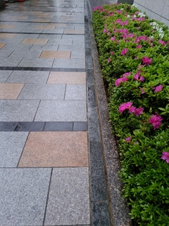 6 エンパイア.jpg