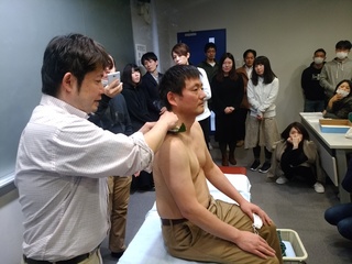6 ビワの葉.jpg