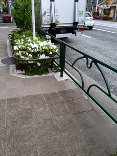 7 新大橋.jpg