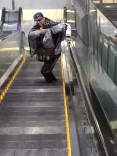 8 遠くから3ズーム.jpg