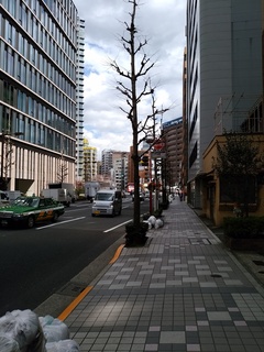 8 鍛冶橋通り.jpg