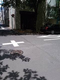 9 さくら通り突っ切る.jpg