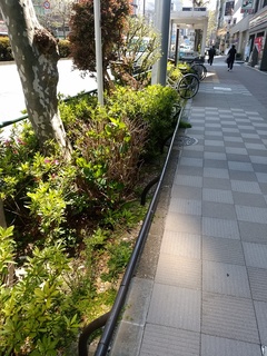 9 新大橋通り.jpg