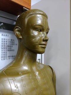 9 経穴人形.jpg