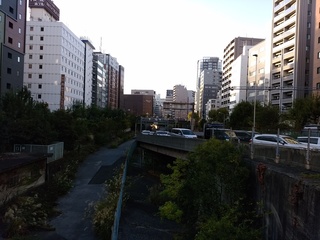 9橋の上から銀座ブロッサム.jpg