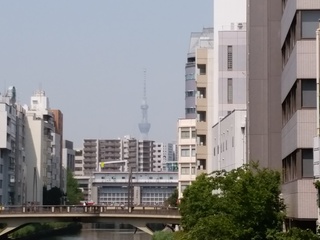 亀島橋からスカイツリー.jpg
