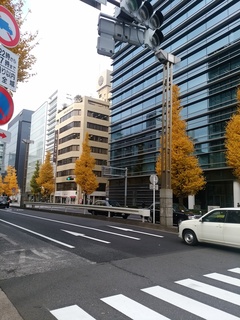 IMG_20191211_112543.jpg
