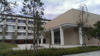 64-2.jpg